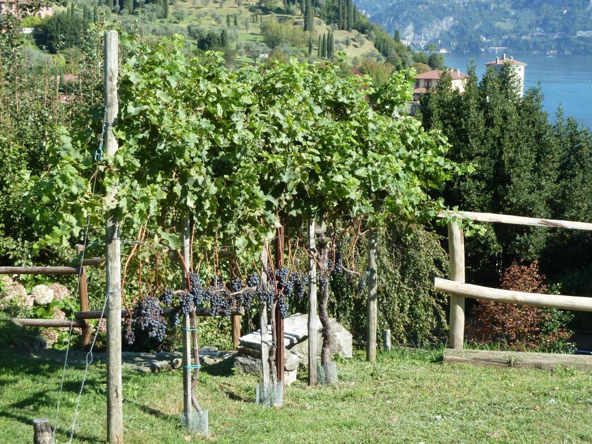 Bellagio Il Crotto Βίλα Εξωτερικό φωτογραφία