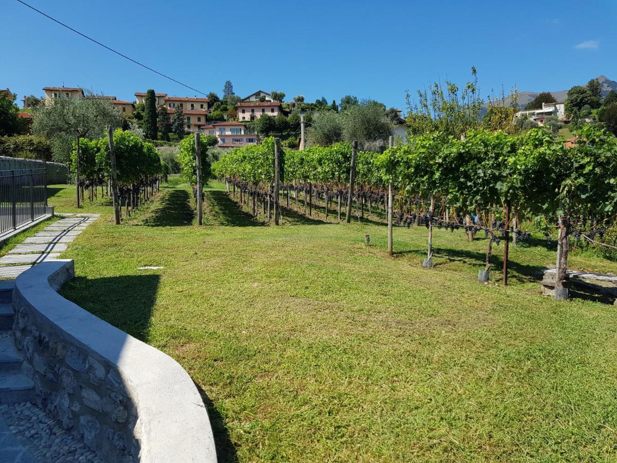 Bellagio Il Crotto Βίλα Εξωτερικό φωτογραφία